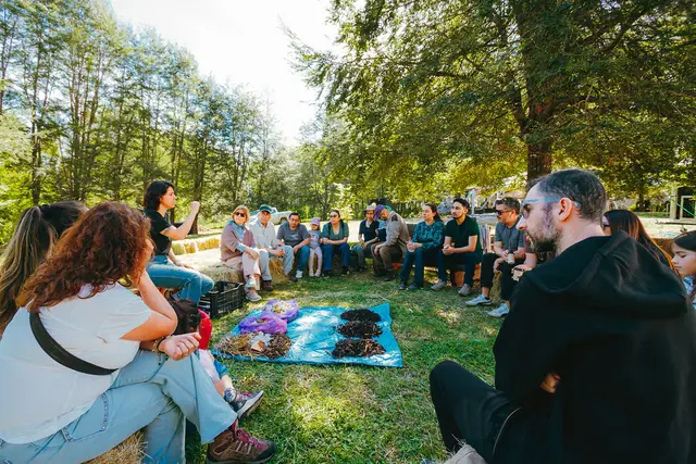 Actividad al aire libre con participantes sentados en círculo sobre el pasto