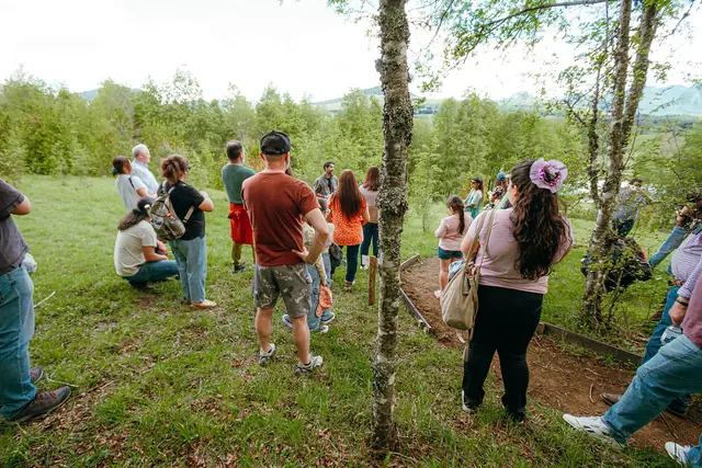 Visitantes en un prado del parque, rodeados de árboles