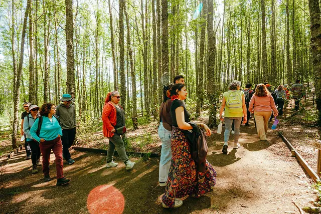 Recorrido guiado por el bosque