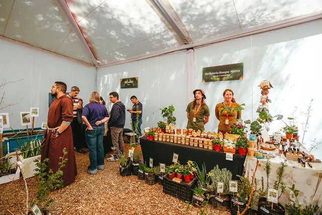 Stand de Herbolaria Bosque Nativo con productos y plantas